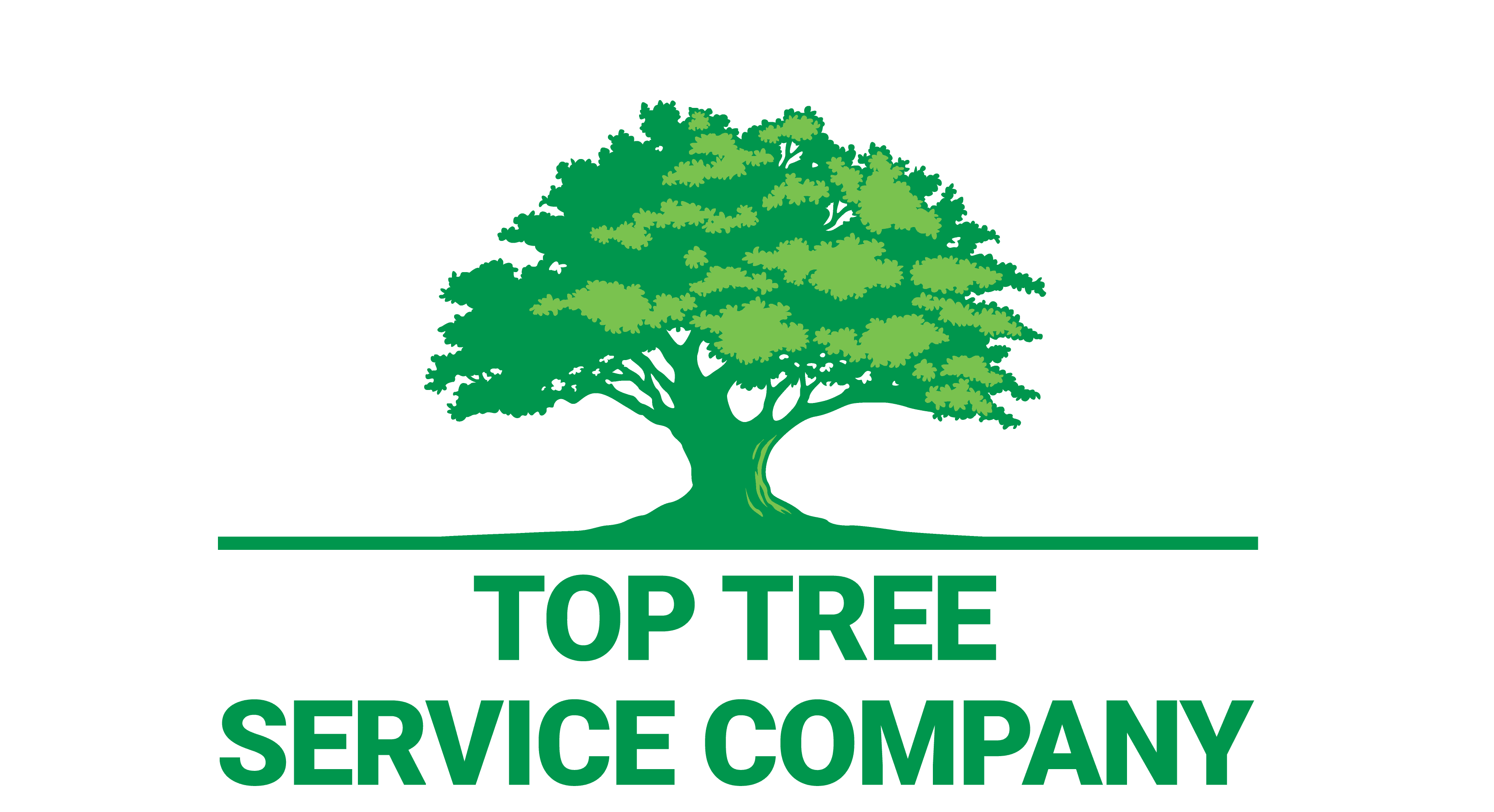 Facts About Savannah Moss Trees Top Tree Service Company