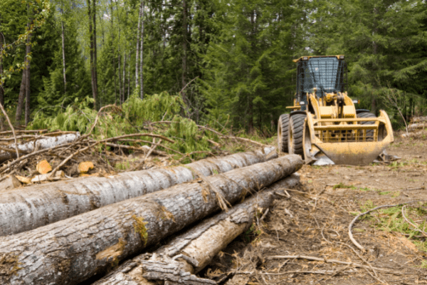 Reasons For Land Clearing